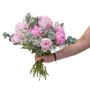 Kytice růžových pivoněk